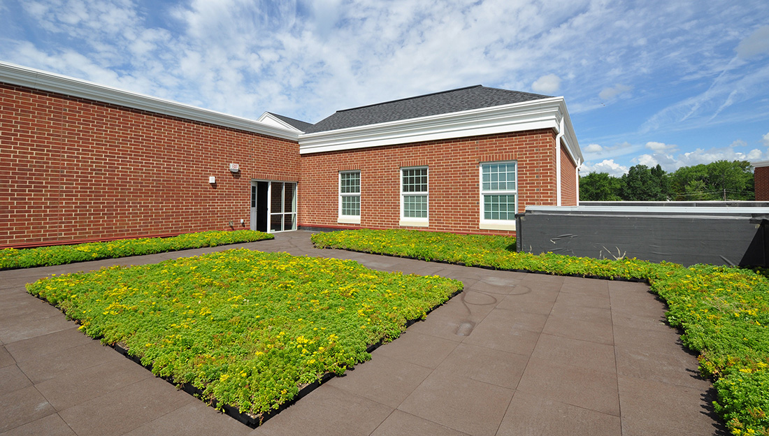 hudson schools rooftop greenspace